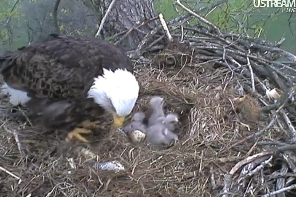 ScreenHunter_21 Mar. 31 12.26.jpg